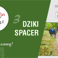 3 DZIKI SPACER/ Dorotowo