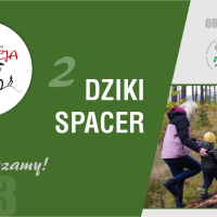 DZIKI SPACER w Majdach