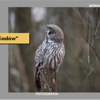 Wernisaż wystawy fotografii Jacka Bohdanowicza „Wśród sąsiadów” 